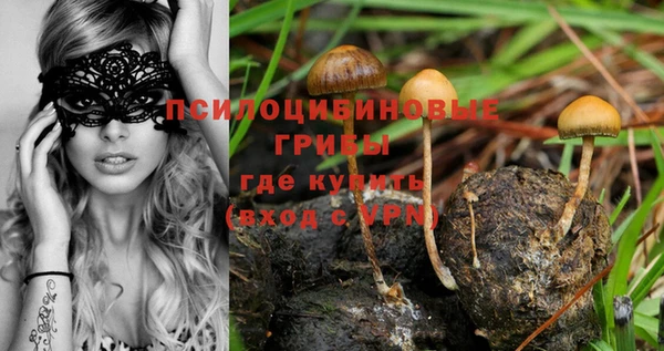 ALPHA PVP Абинск