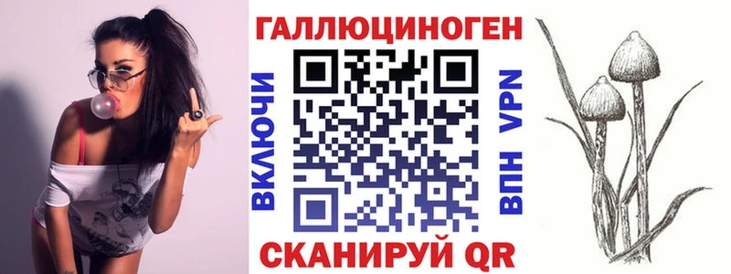 Псилоцибиновые грибы мицелий  Губкин 