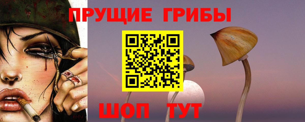 Псилоцибиновые грибы прущие грибы Губкин