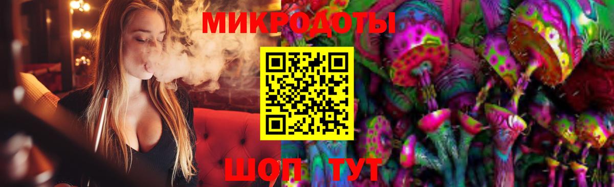 Губкин  Псилоцибиновые грибы мухоморы  Псилоцибиновые грибы Psilocybine cubensis  цена наркотик  Вход с VPN 