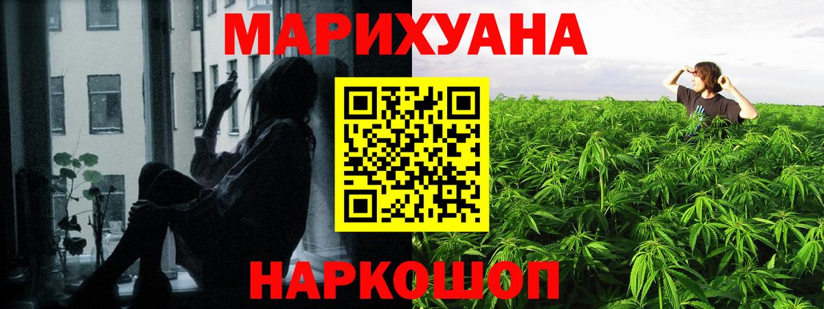 Конопля марихуана Губкин